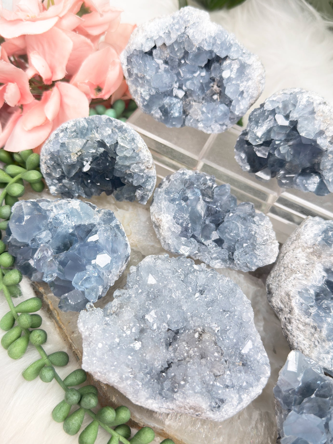 Blue Celestite Clusters