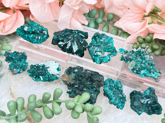 Teal Dioptase Specimens