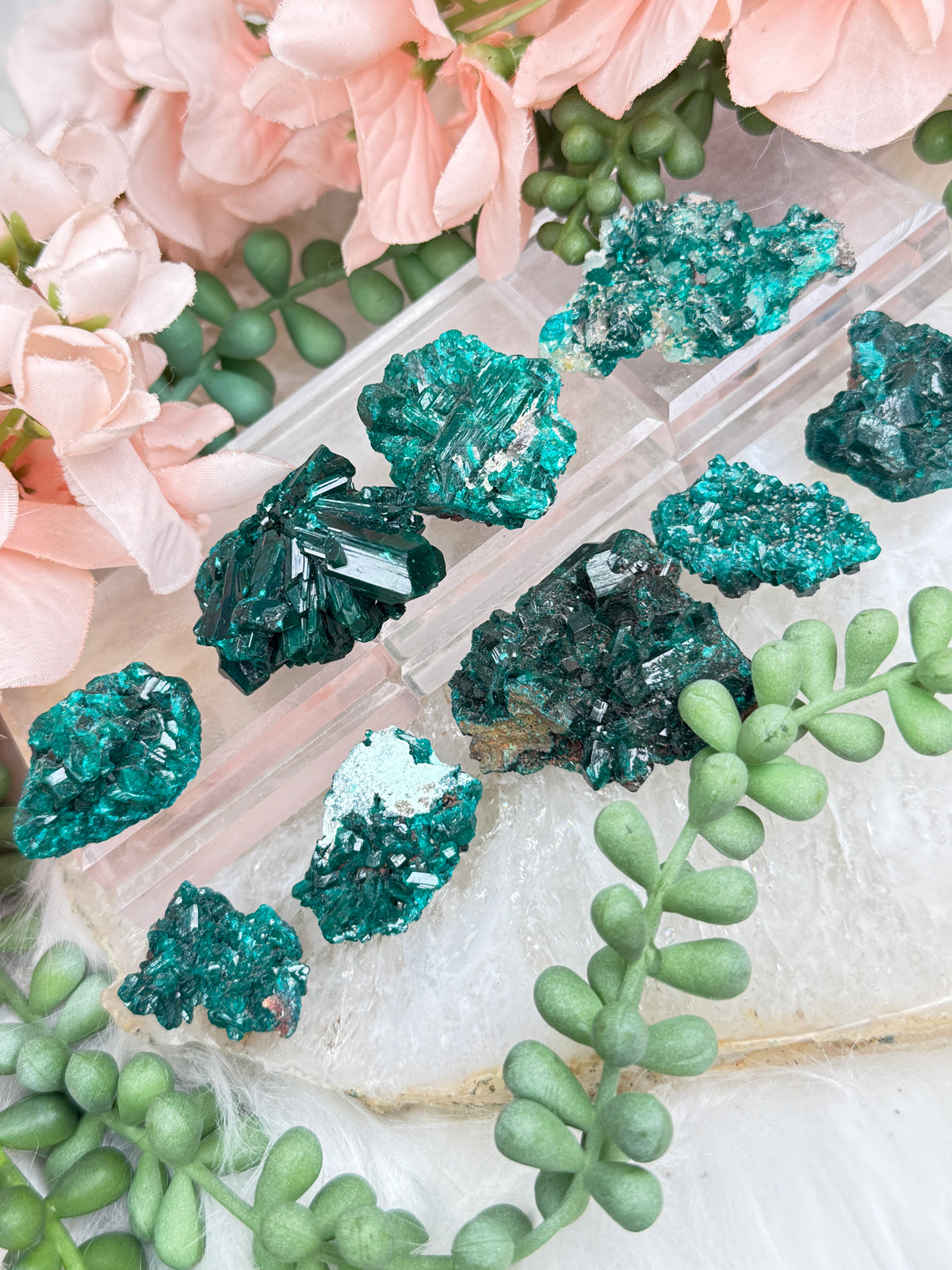 small-dioptase-crystals-for-sale