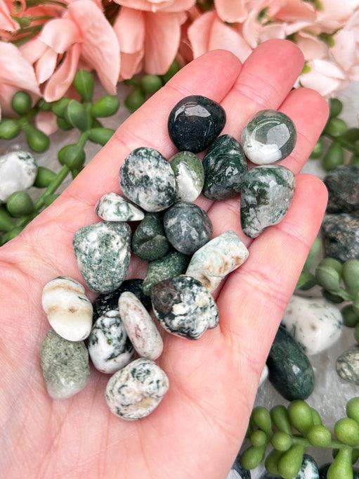 Large Green Moss Agate Tumble-stone for Prosperity and New Beginnings