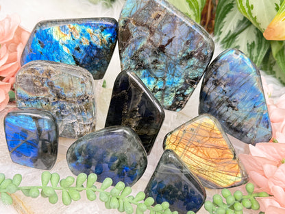 Standing Labradorite Freeforms