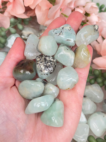 small-prehnite-tumbles