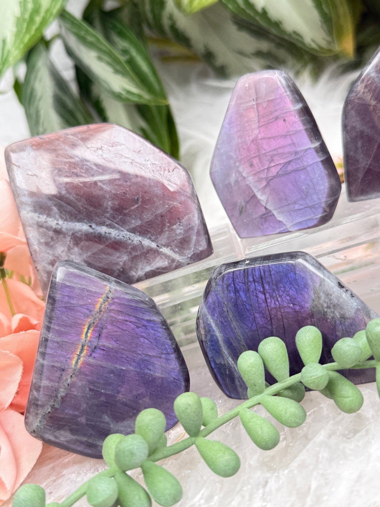 Pink Purple Labradorite