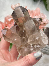 Load image into Gallery: Contempo Crystals - small-smoky-quartz-cluster-with-rutile - Image 6