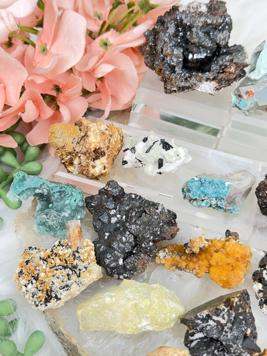 Mixed Small Namibia Specimens