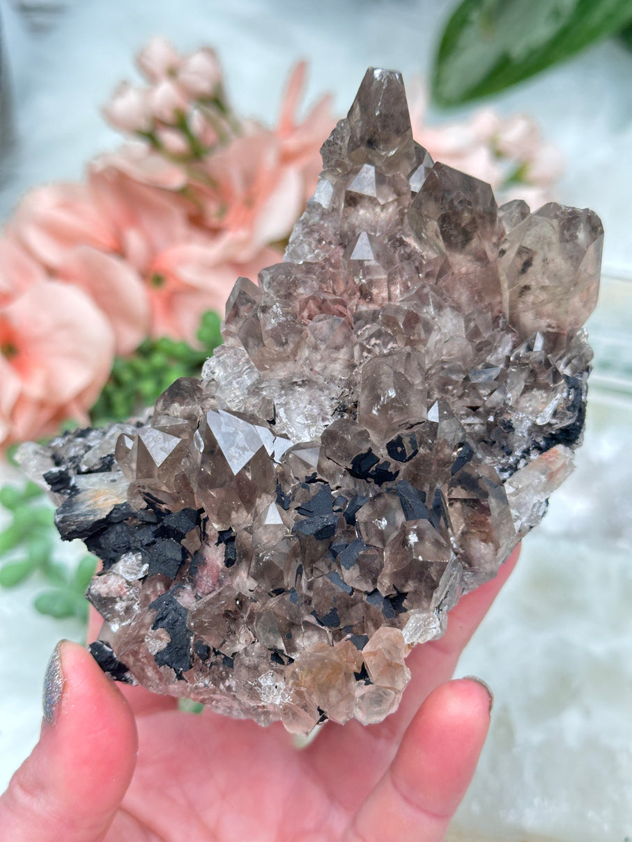 smoky-quartz-cluster-with-hematite