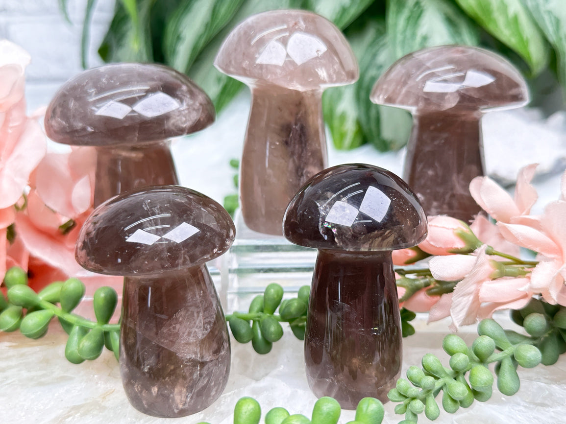 smoky-quartz-mushrooms