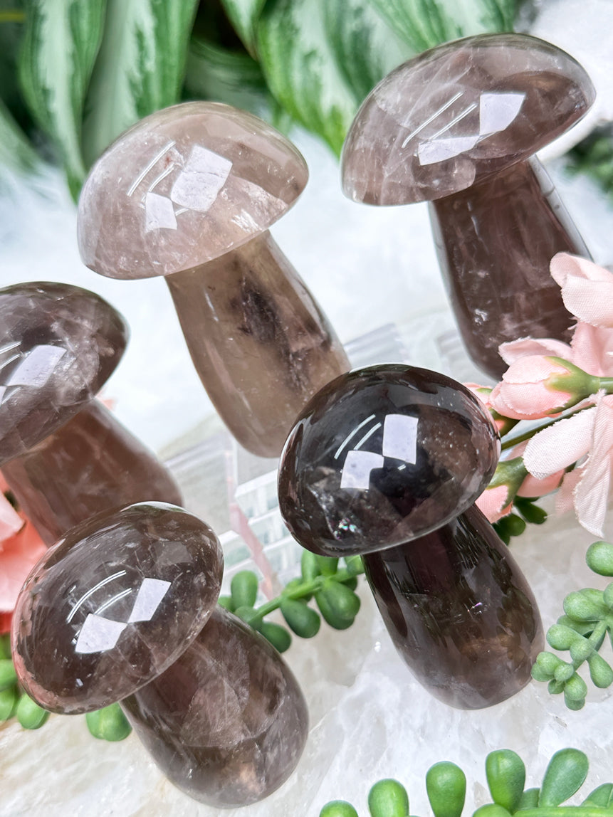 smoky-quartzz-mushroom-crystals