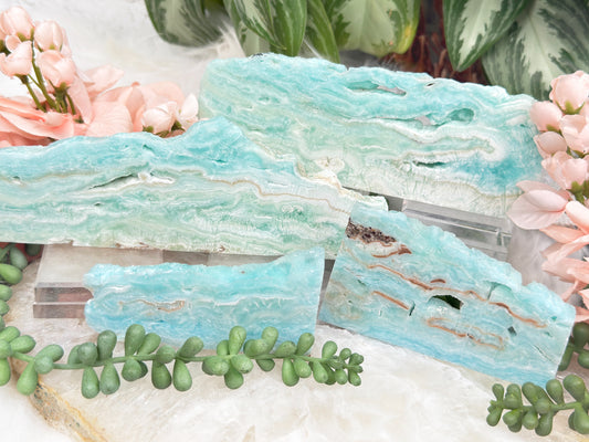 Blue Aragonite Slices