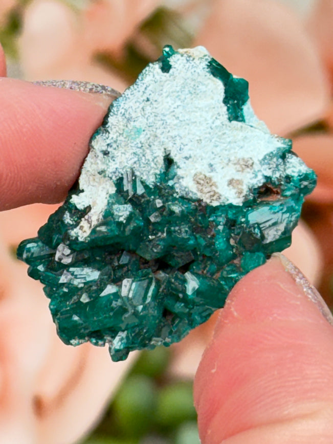 teal-dioptase-blue-shattuckite