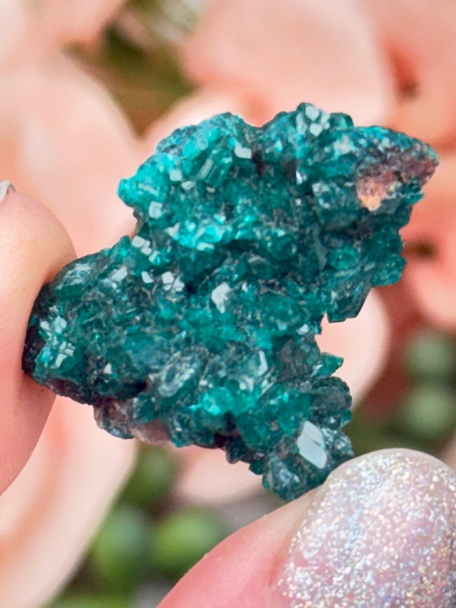 tiny-teal-blue-dioptase-crystal