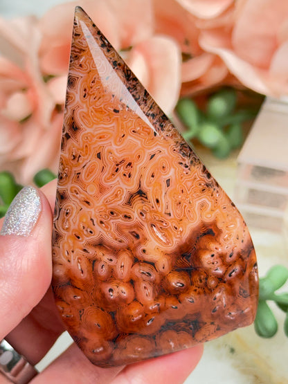 Orange Sardonyx Agate Flames