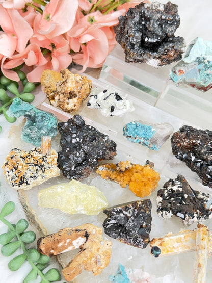Mixed Small Namibia Specimens
