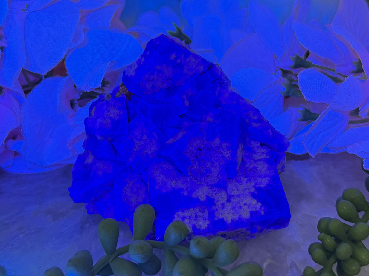 UV Reactive Diana Maria Fluorite