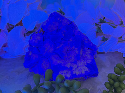 UV Reactive Diana Maria Fluorite