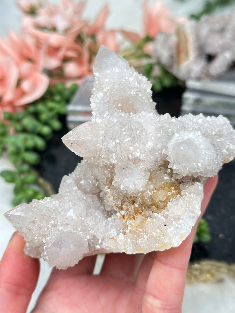 white-cactus-quartz-cluster