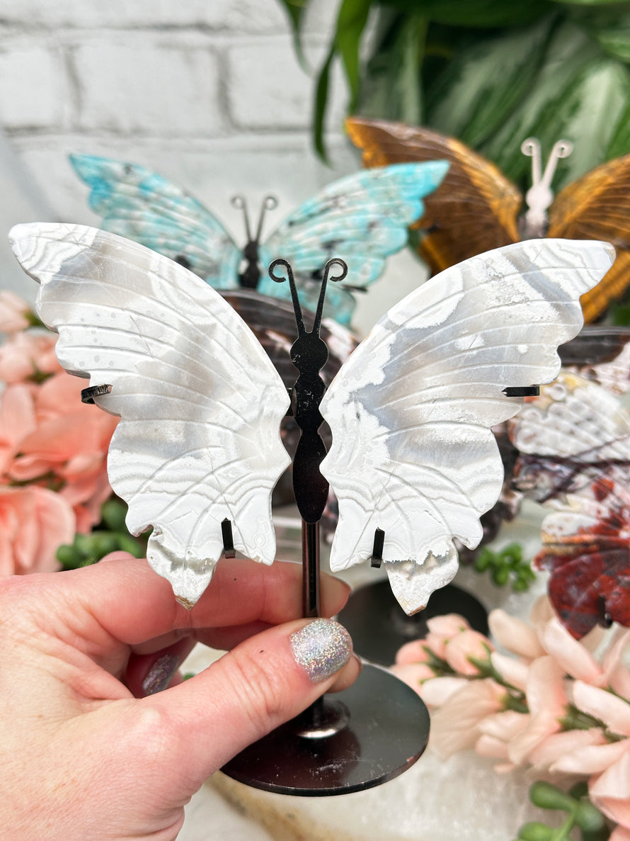 white-crazy-lace-agate-butterfly