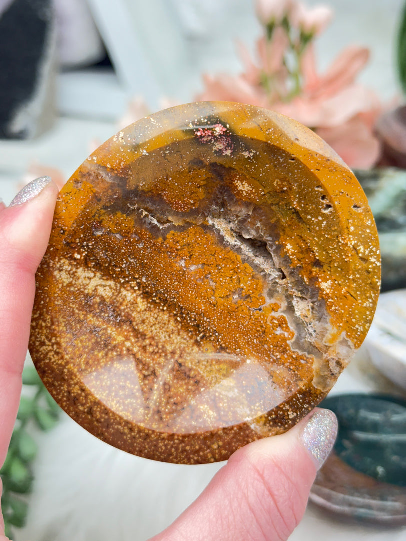 Ocean Jasper Bowls