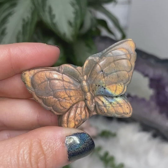 These colorful labradorite butterflies are fun and flashy! video
