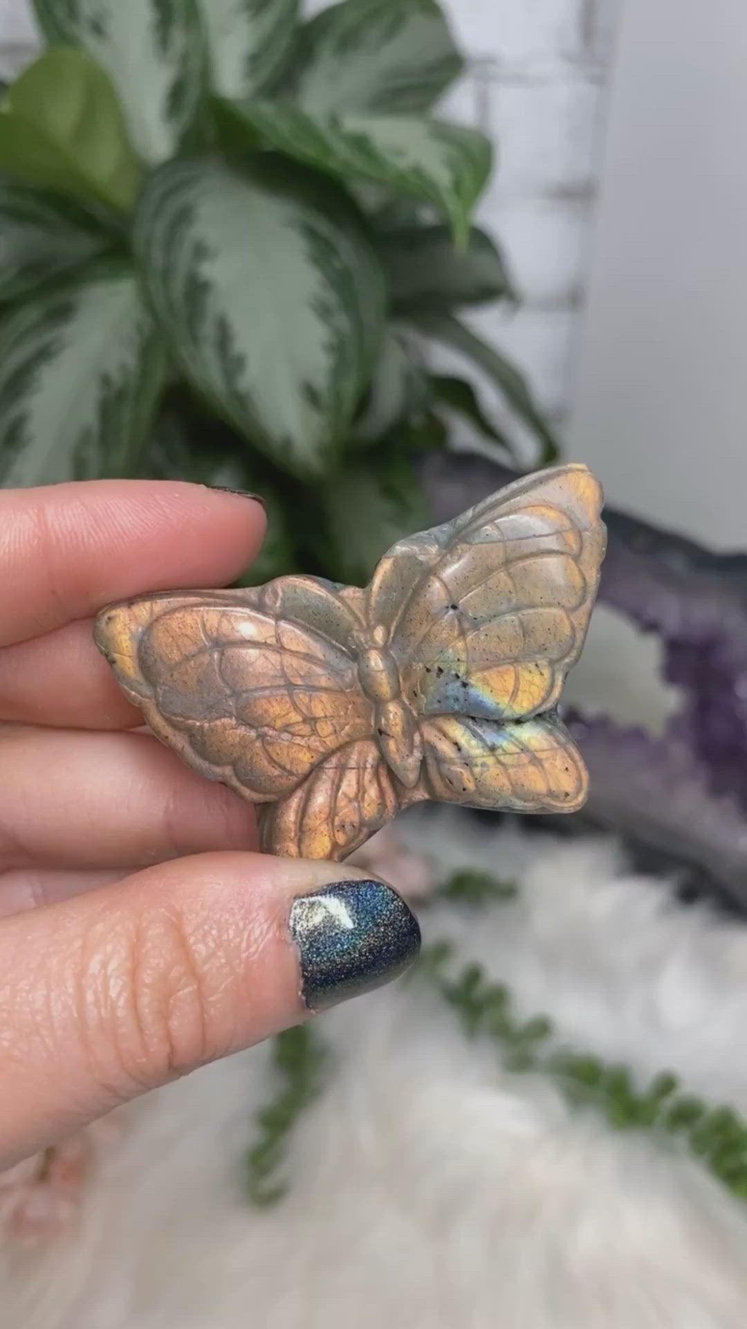 These colorful labradorite butterflies are fun and flashy! video