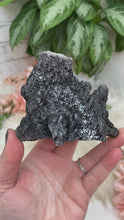 Load image into Gallery: Contempo Crystals - Black Tourmaline in Quartz crystals for sale - Image 4