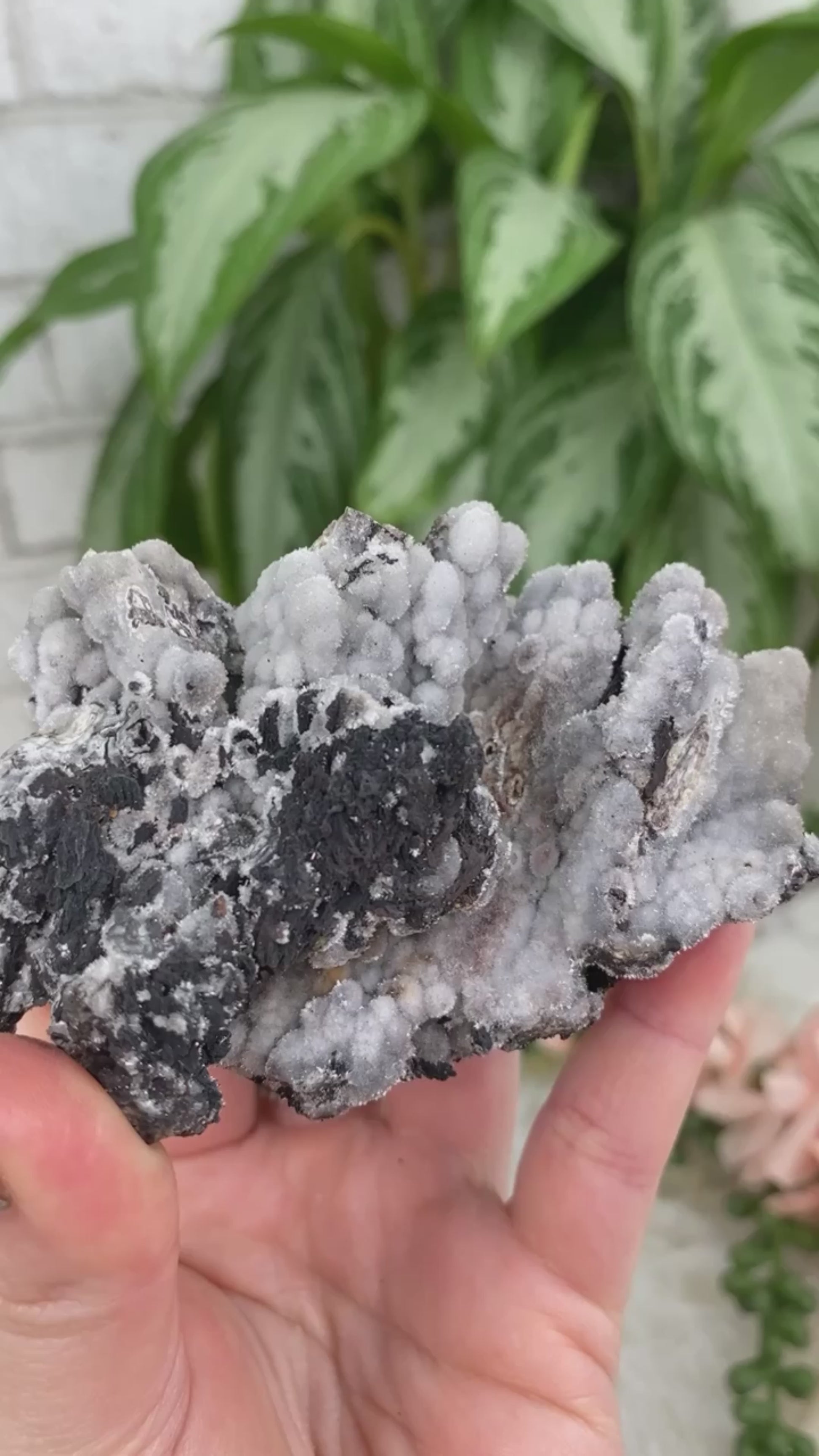 gray-black-willemite-botryoidal-crystal