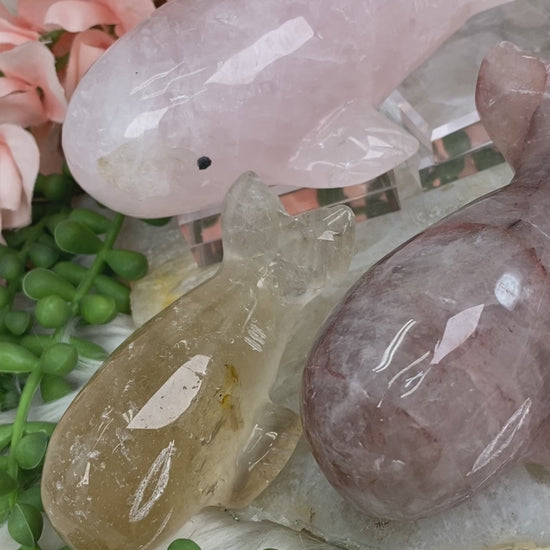 crystal-whales-from-brazil