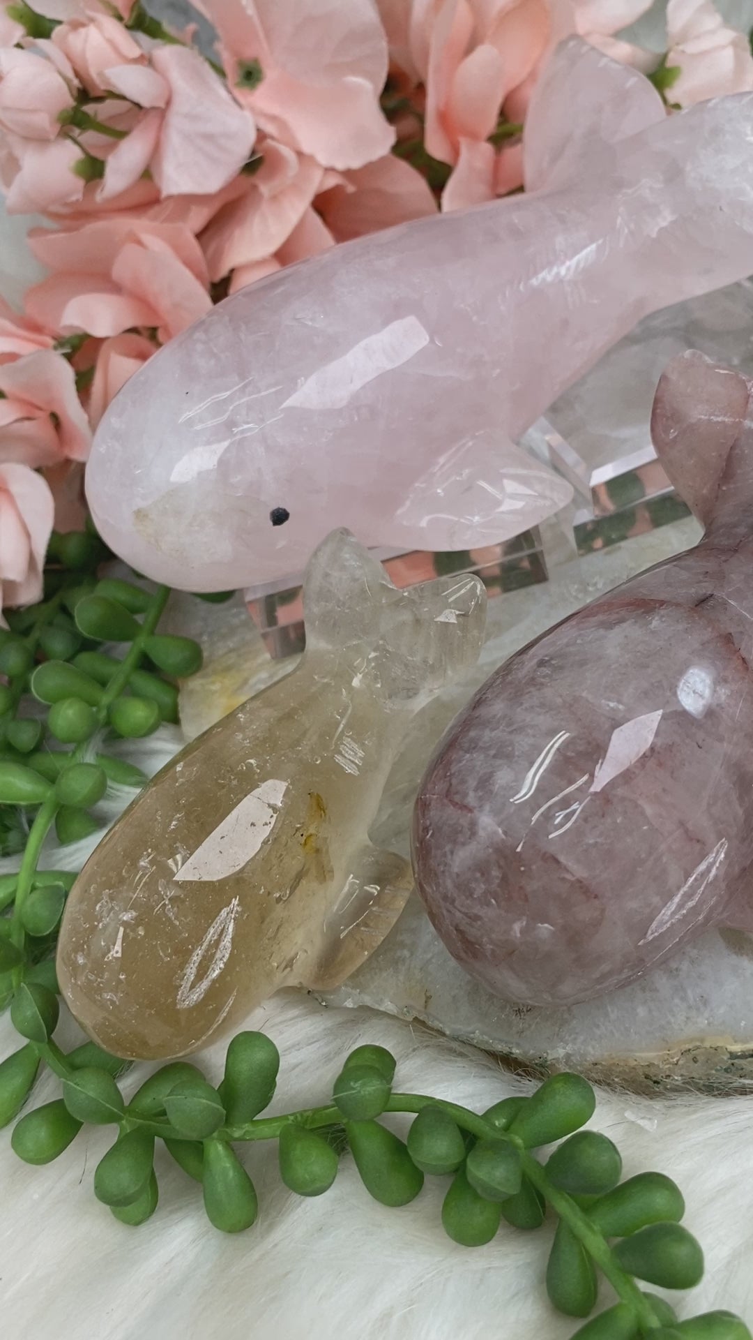crystal-whales-from-brazil