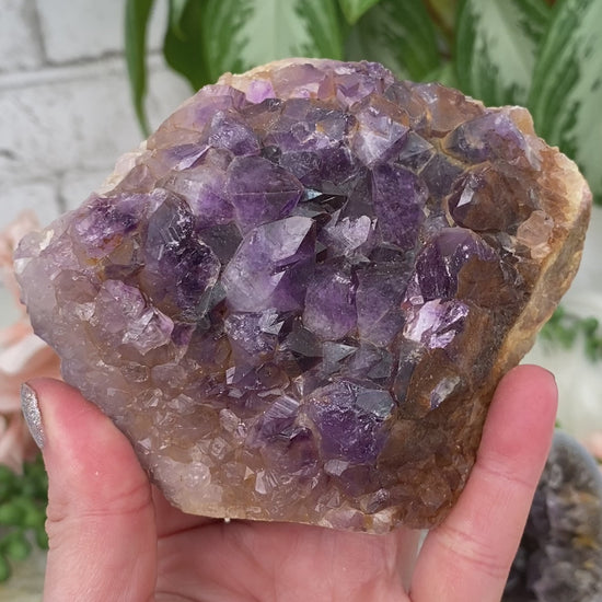 indian-amethyst-clusters