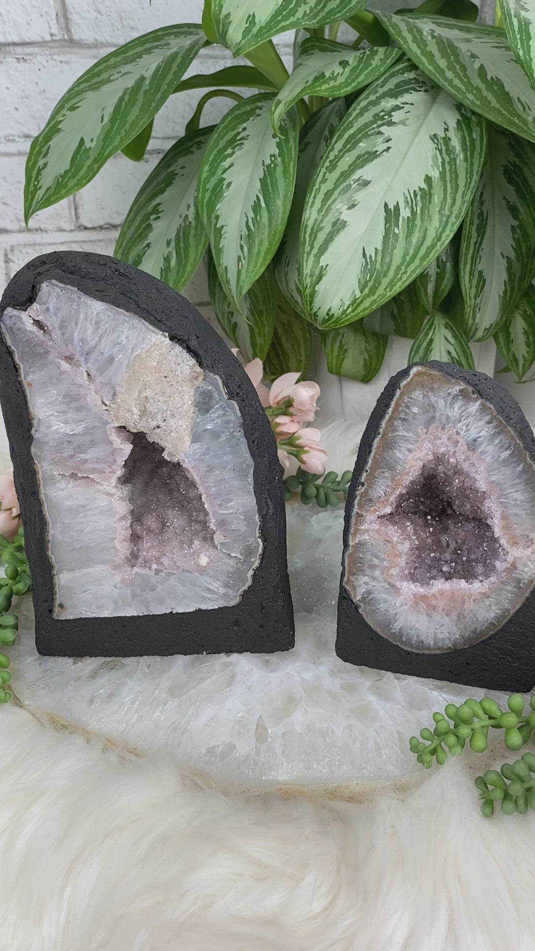 Pink-Hue-Amethyst-Geodes for sale