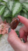 Small-Red-Rutile-in-Quartz-Crystals-for-Sale-Video