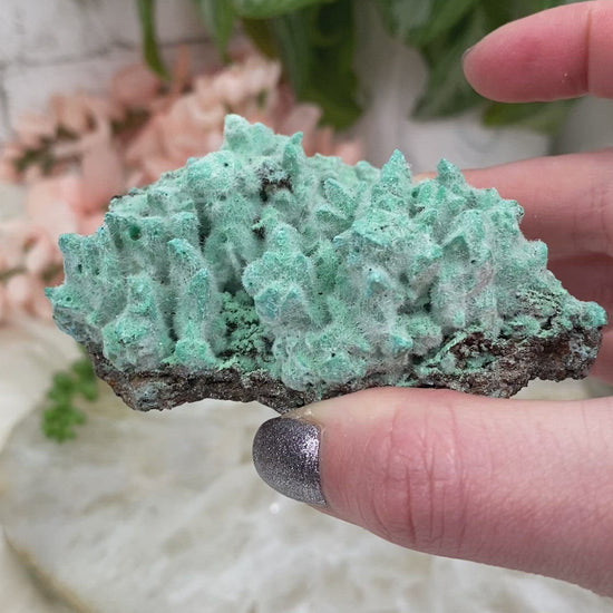 Teal-Kobyashevite-Crystals-from-Durango-Mexico for sale