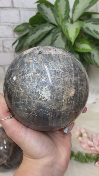 Gray moonstone spheres video