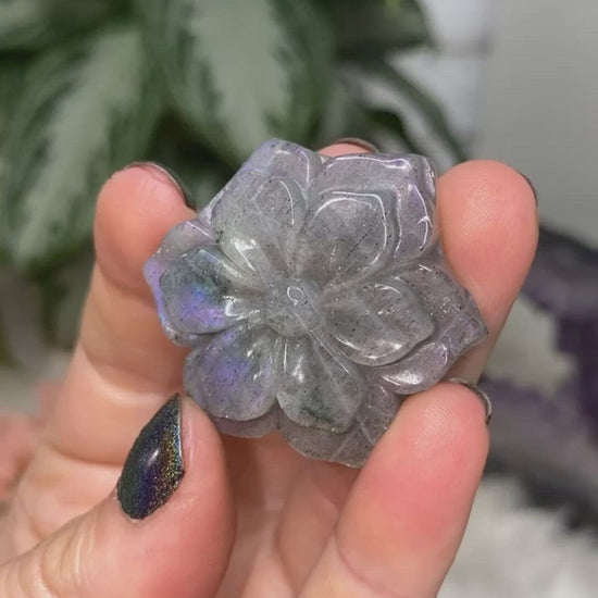 Labradorite flower video