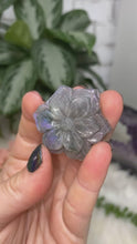 Load image into Gallery: Contempo Crystals - Labradorite flower video - Image 2