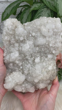 Load image into Gallery: Contempo Crystals - White-Apophyllite-Crystal-Clusters - Image 2