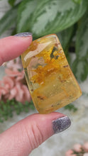 Load image into Gallery: Contempo Crystals - Amber-Bugs for sale - Image 2