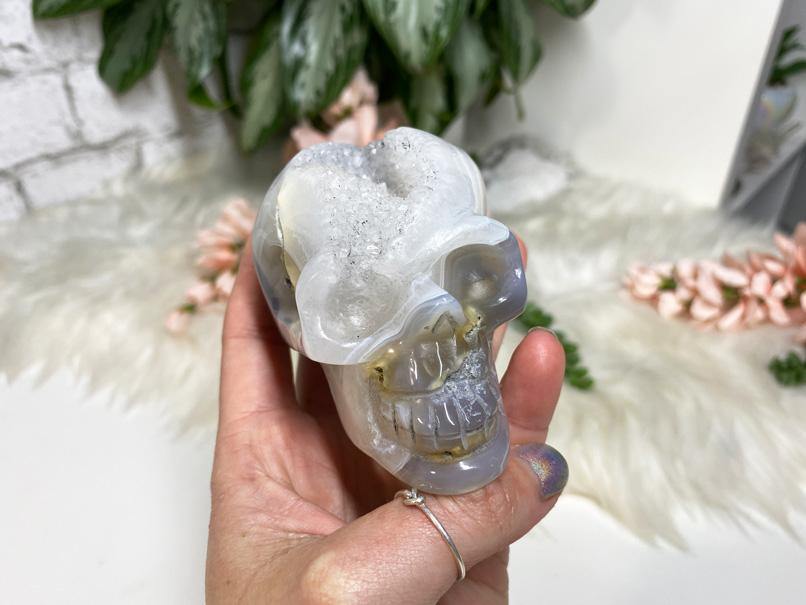 Agate Crystal Druzy Skulls