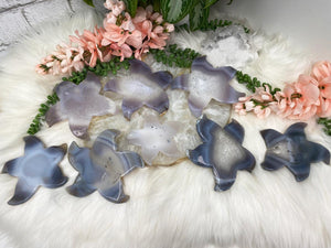 Contempo Crystals - Agate-Starfish-Back - Image 15
