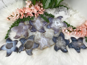 Contempo Crystals - Agate-Starfish-Crystals-for-Sale - Image 2