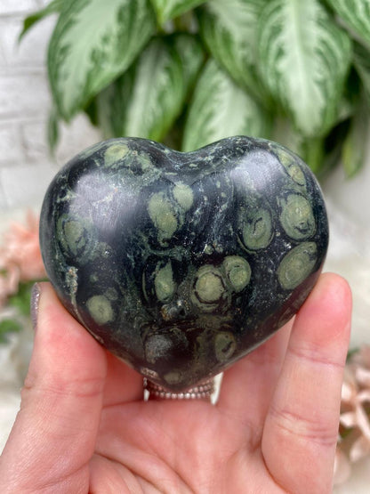 Alligator-Jasper-Heart