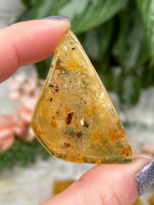 Contempo Crystals - Amber-Bugs-from-Colombia - Image 10