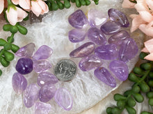 Load image into Gallery: Contempo Crystals - Amethyst-Tumble - Image 2