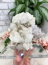 Load image into Gallery: Contempo Crystals - Apophyllite-Chlorite-Stilbite-Chalcedony-on-Stand - Image 10