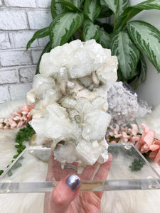 Contempo Crystals - Apophyllite-Chlorite-Stilbite-Chalcedony-on-Stand - Image 9