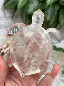 Contempo Crystals - BRazil-Clear-Quartz-Sea-Turtle-Crystal-Carving - Image 6