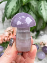 Load image into Gallery: Contempo Crystals - Pastel Fluorite Crystal Mushrooms - Image 8