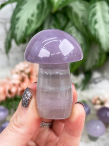 Contempo Crystals - Pastel Fluorite Crystal Mushrooms - Image 7