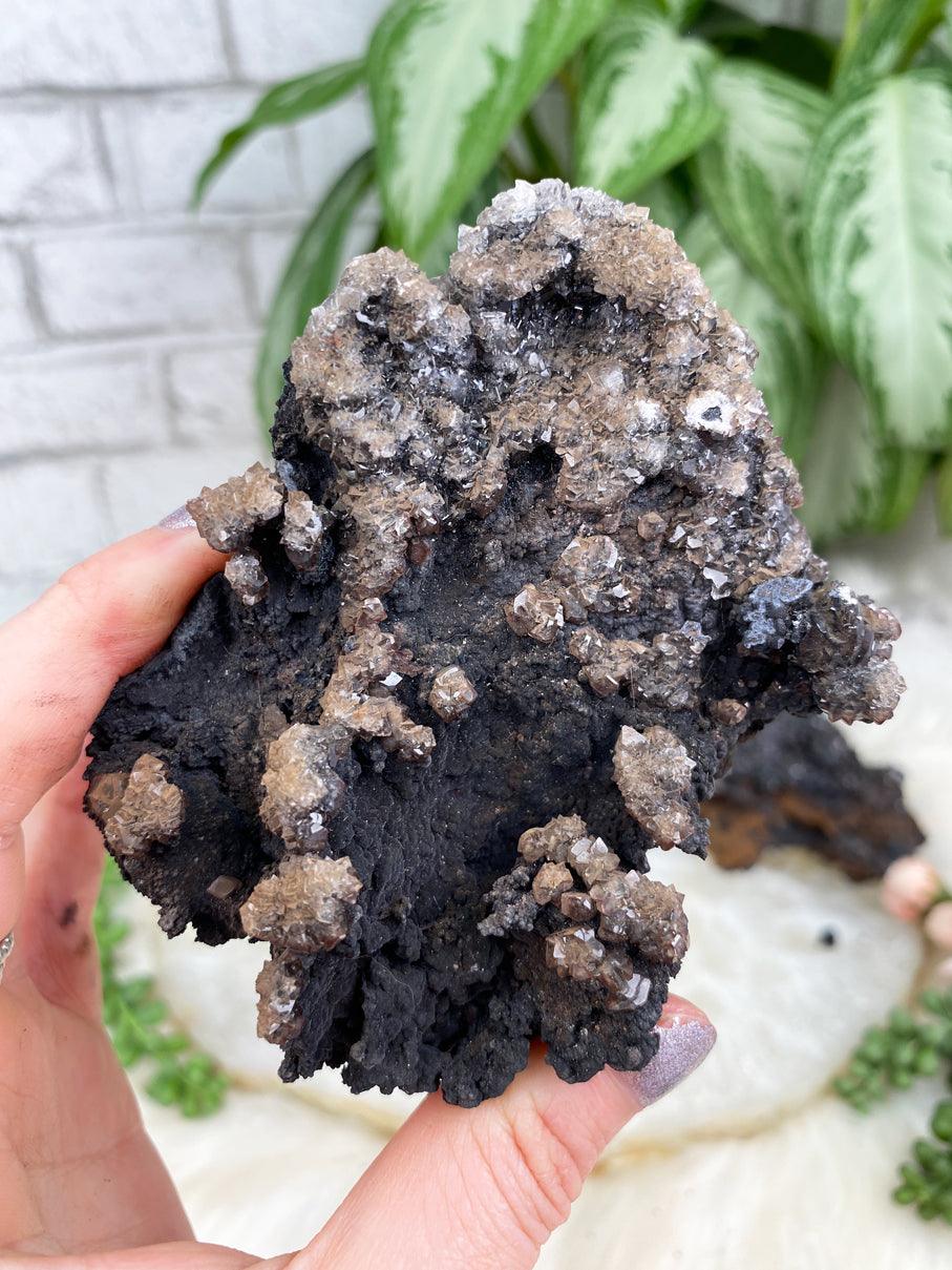 Black-Brown-Mexico-Calcite