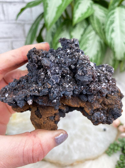 Black Calcite Crystals